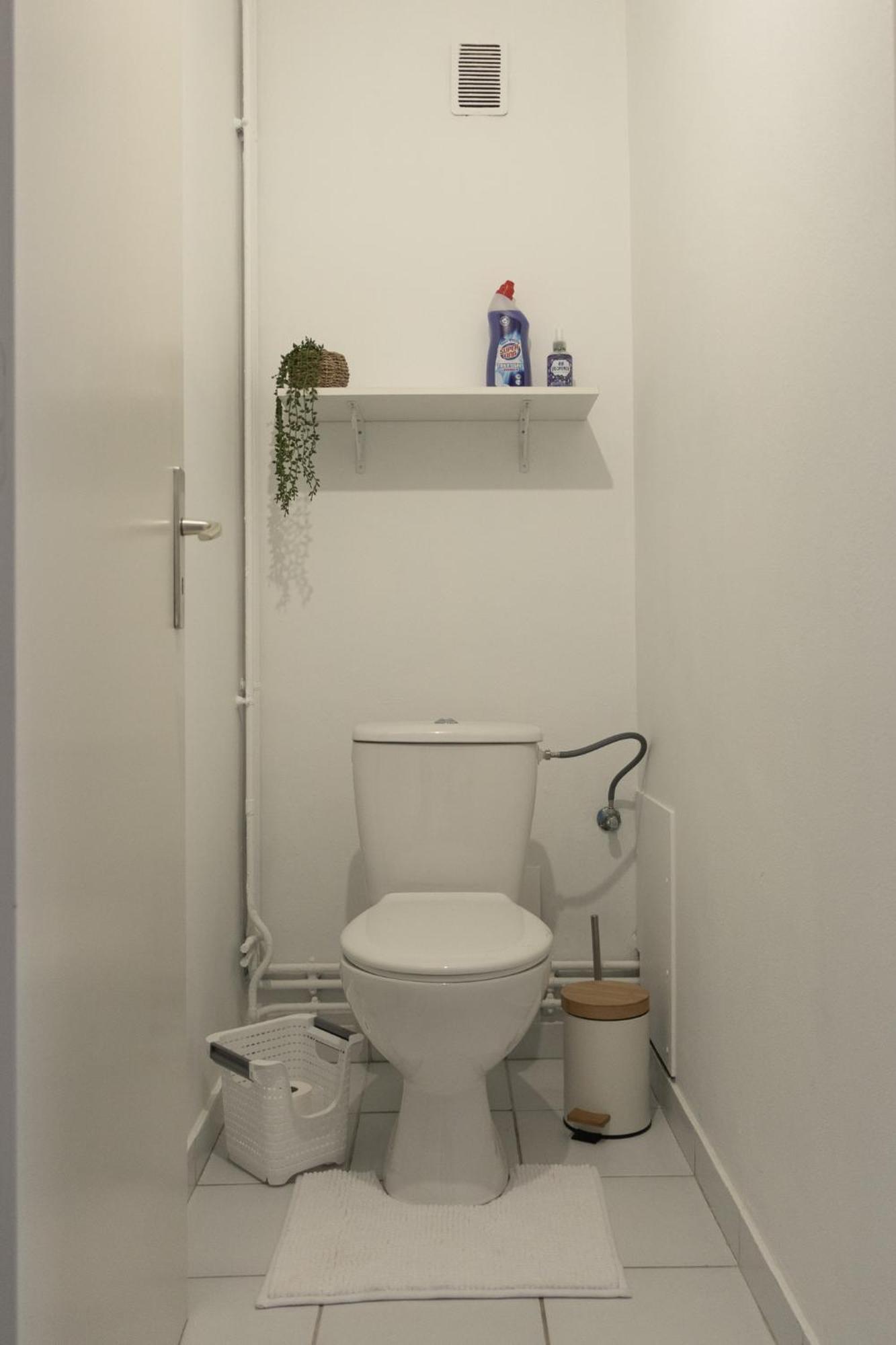 Appartement Renove 10 Minutes A Pied Du Coeur De קולמר מראה חיצוני תמונה